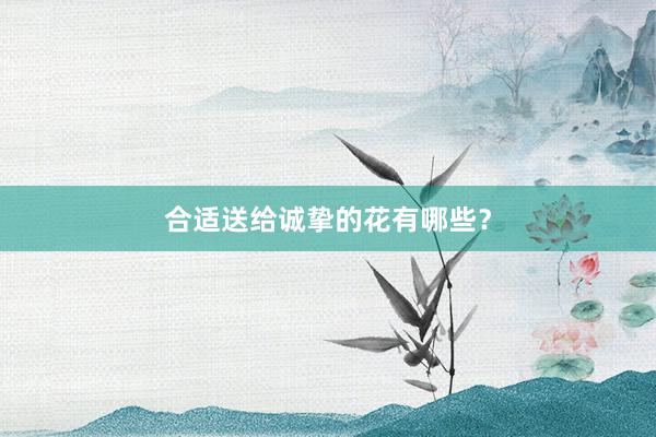 合适送给诚挚的花有哪些？